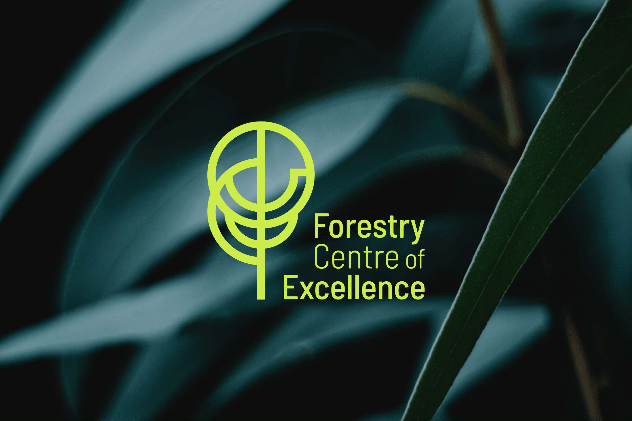 Logo Branding for Forestry Centre of Excellence Mount Gambier South Australia